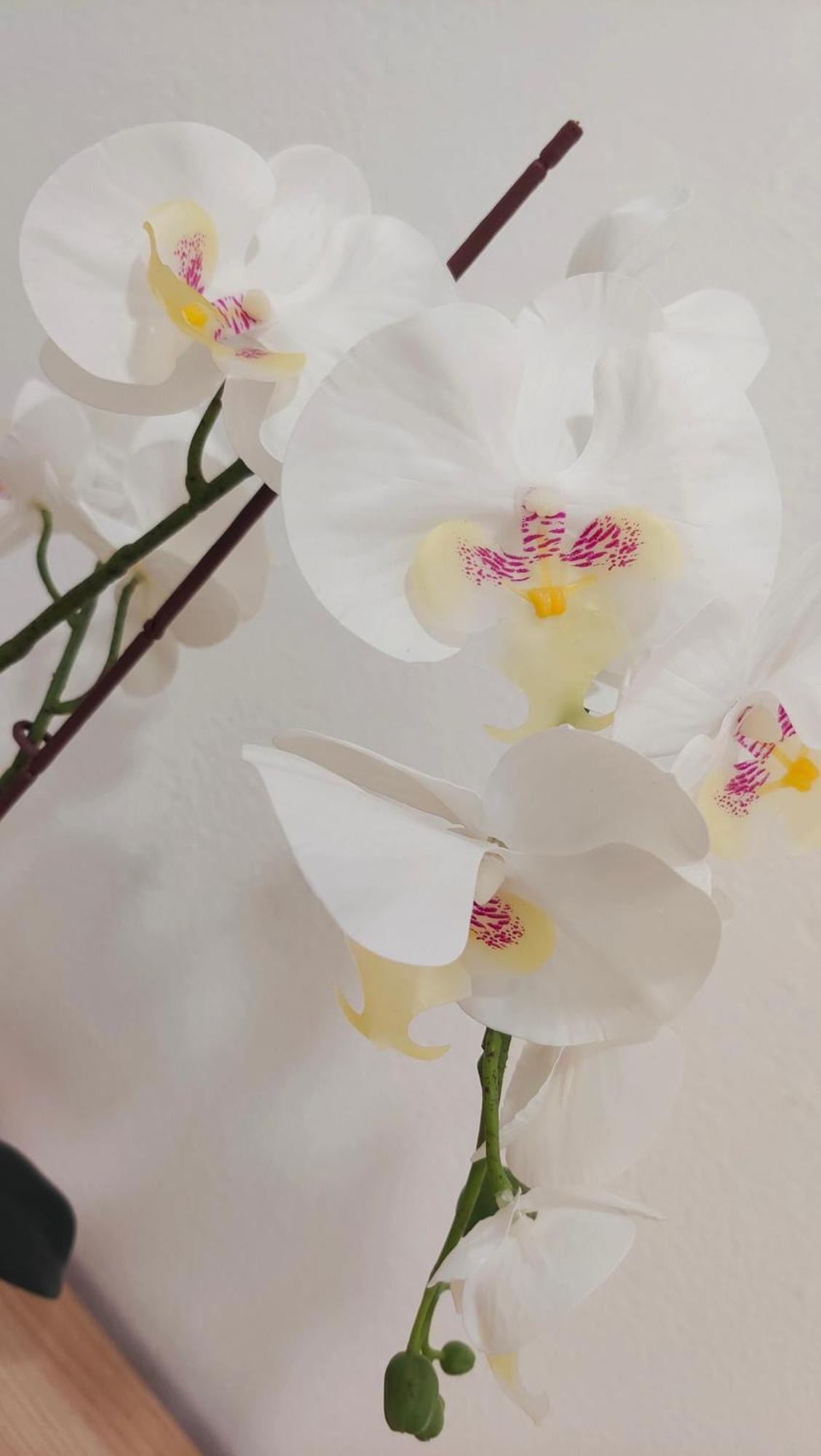Casa Luna Y Sol 푸에르토델로사리오 외부 사진